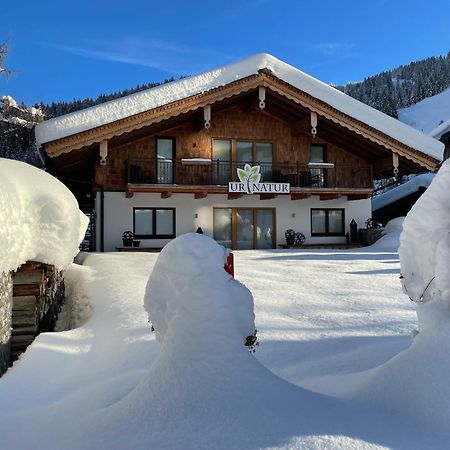 Ur-Natur Appartements Maria Alm am Steinernen Meer Ngoại thất bức ảnh